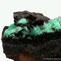 Agardite-(Nd)