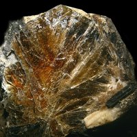 Tainiolite