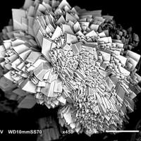Canutite