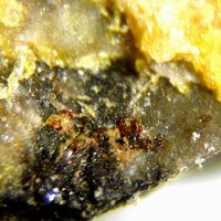 Palenzonaite, Carpholite