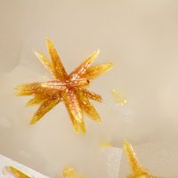 Gartrellite, Carminite