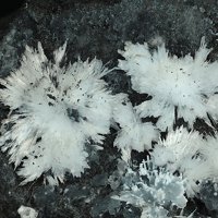 Rapidcreekite