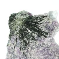 Canasite, Aegirine, Tinaksite