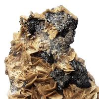 Cannizzarite, Tetrahedrite Subgroup, Siderite