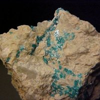 Salesite