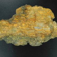 Uraninite, Sandstone, Petrified Wood