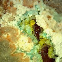 Oswaldpeetersite