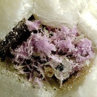 Cascandite