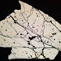 Cattierite, Pyrite, Linnaeite
