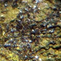 Rauvite