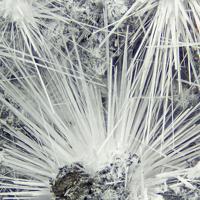 Canavesite