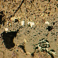 Sakuraiite, Chalcopyrite