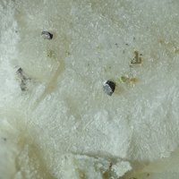 Vaesite