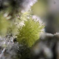 Adranosite-(Fe)