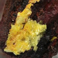 Sabugalite