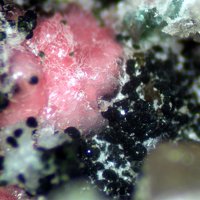 Gayite, Variscite