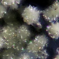 Ecdemite