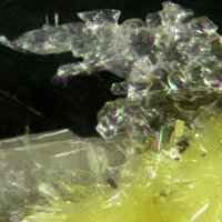Tamarugite, Glauberite, Sideronatrite