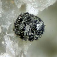Barbosalite, Carbonate-rich Fluorapatite