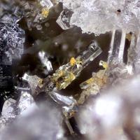 Caracolite