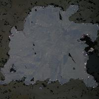 Paolovite, Niggliite, Cabriite
