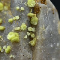 Carlhintzeite