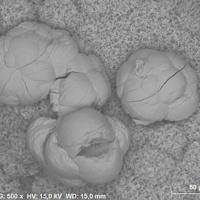 Calcioancylite-(Ce)