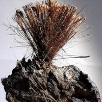 Balangeroite
