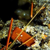 Kaersutite, Amphibole Supergroup