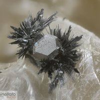 Vaesite, Millerite