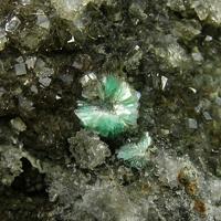 Bariosincosite, Fluellite, Metavariscite