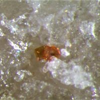 Tancaite-(Ce)