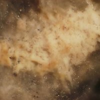 Caysichite-(Y)