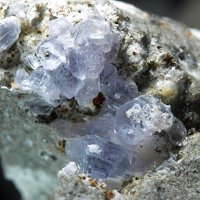 Farneseite
