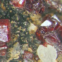 Galkhaite