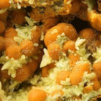 Uranosphaerite, Trögerite