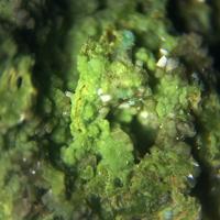 Bayldonite