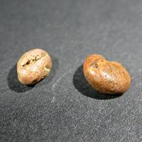 Bahianite