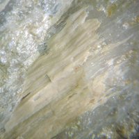 Davreuxite