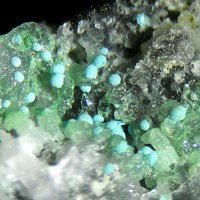 Sabelliite