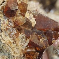 Ganophyllite