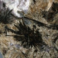 Umbozerite, Serandite, Ussingite