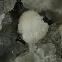 Oyelite