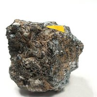 Rasvumite