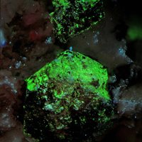 Raite, Hydroterskite, Terskite