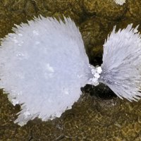 Dachiardite-Na, Dachiardite-Ca, Mordenite
