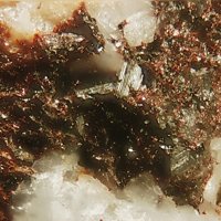 Gamagarite