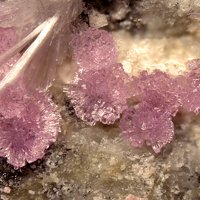 Sainfeldite, Picropharmacolite