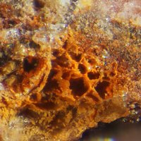 Uranotungstite