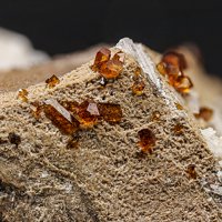 Catapleiite, Eudialyte, Manganoneptunite